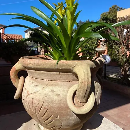 Alojamento de Acomodação e Pequeno-almoço Marogna Alghero