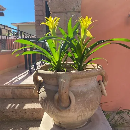 Marogna Bed & Breakfast 3*
