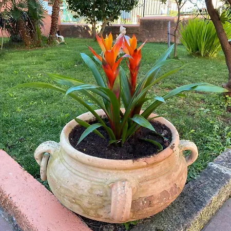 Marogna Bed and Breakfast 3*